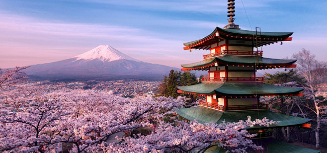 日本樱花塔观山富士山美丽风景桌面壁纸