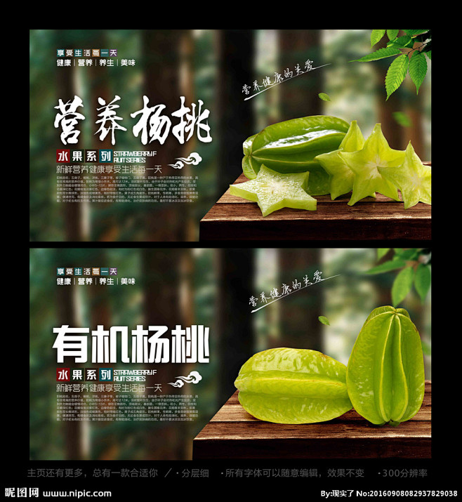 杨桃干 杨桃花 四季杨桃 杨桃素材 杨桃图片 杨桃水果店 杨桃广告