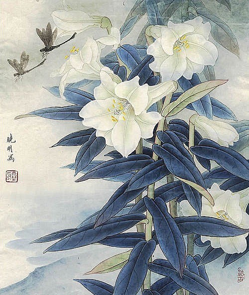 李晓明工笔花鸟精品