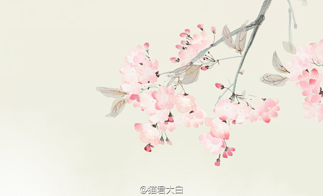 手绘花·古风