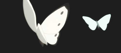 蝴蝶