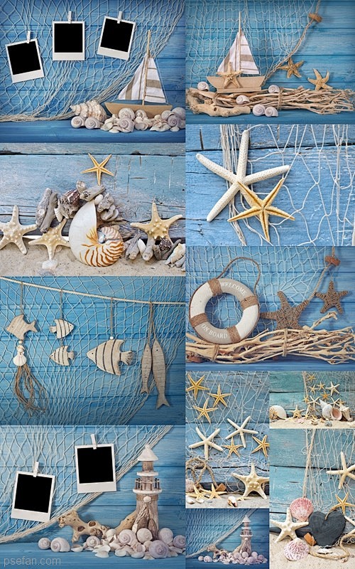 海洋元素-花瓣网|陪你做生活的设计师 | 海洋生物装饰