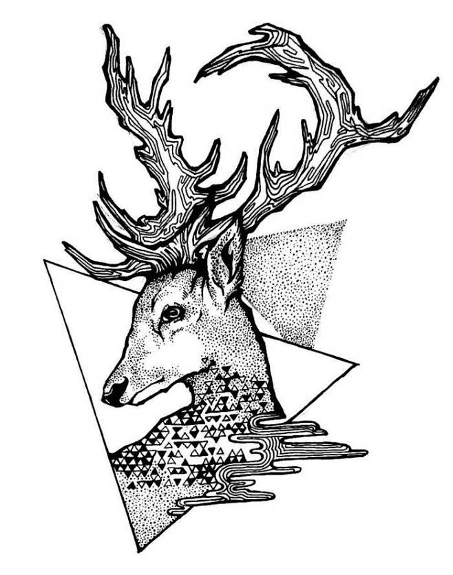 线描鹿鹿角刮画黑白线描