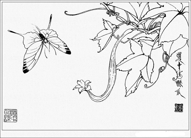 王道中工笔花卉白描欣赏李梨李梨