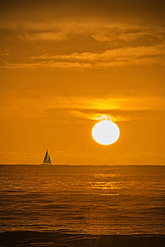 最美夕阳红