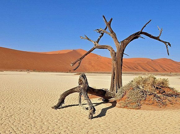 地球上超现实主义的景点