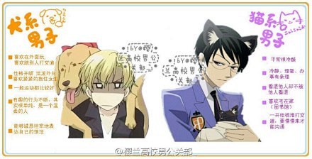 猫系or犬系or狼系or兔系or各种系