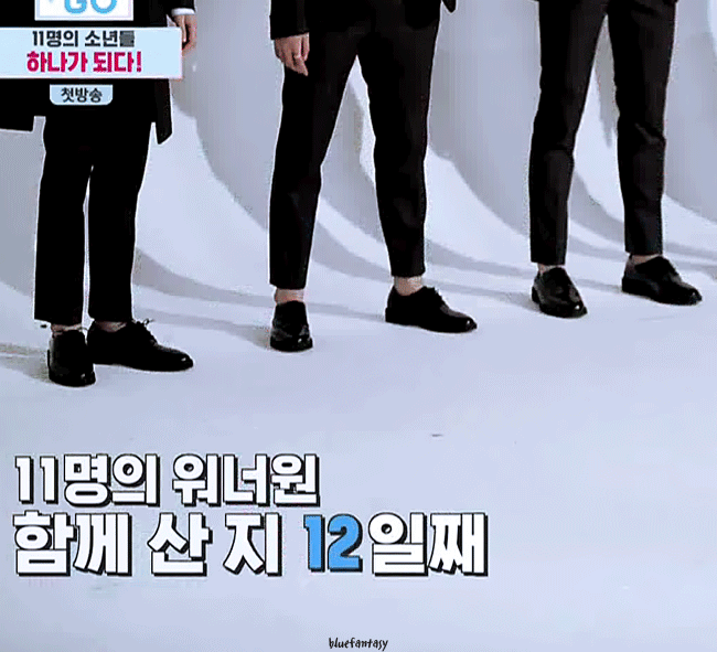 weibo.com 尼尔大伯采集到wanna·one.gif  采集 weibo.