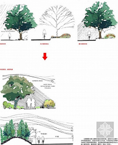 远歌山行采集到剖面