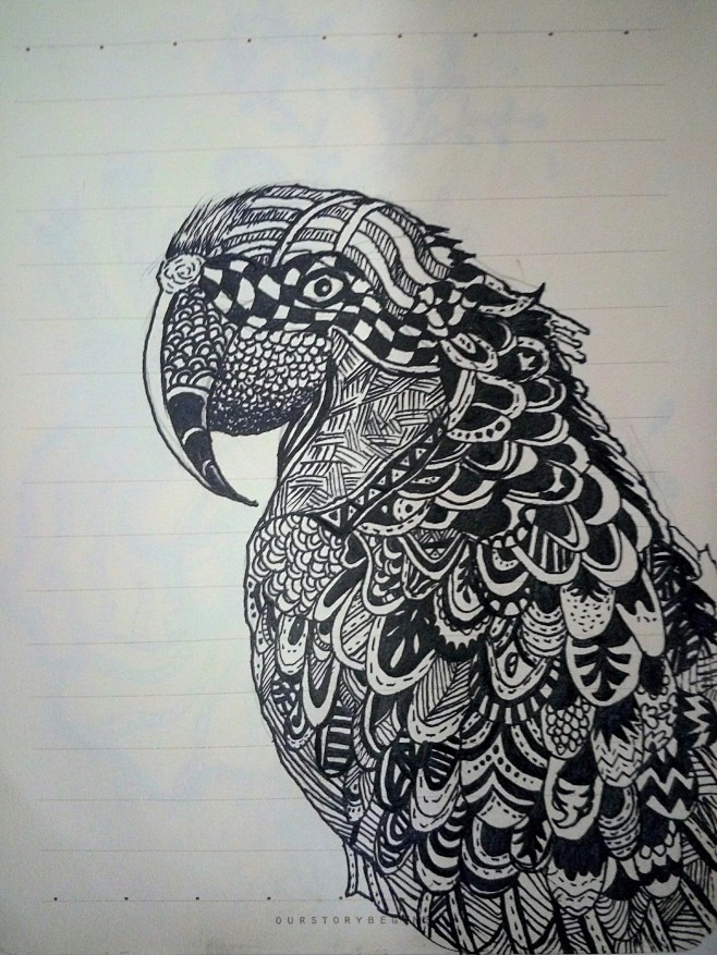 鹦鹉鸟黑白装饰画