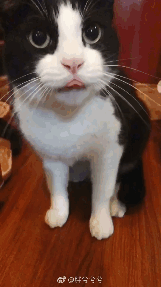 net 无聊图 - 蛋友贴图专版 jandan.net