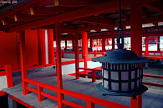 参考——场景——日本神社
