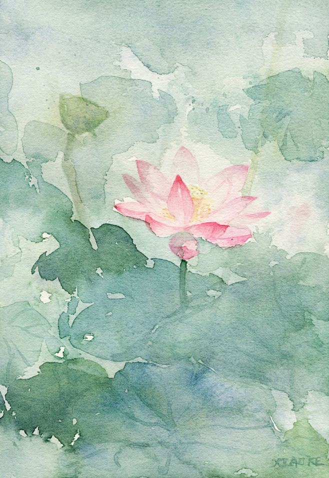 荷花水彩插画手绘小清新