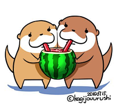 "水獭不在水里时在做什么"萌到吐血
