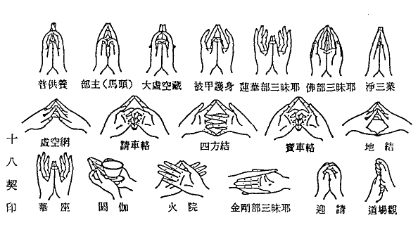 相关图片