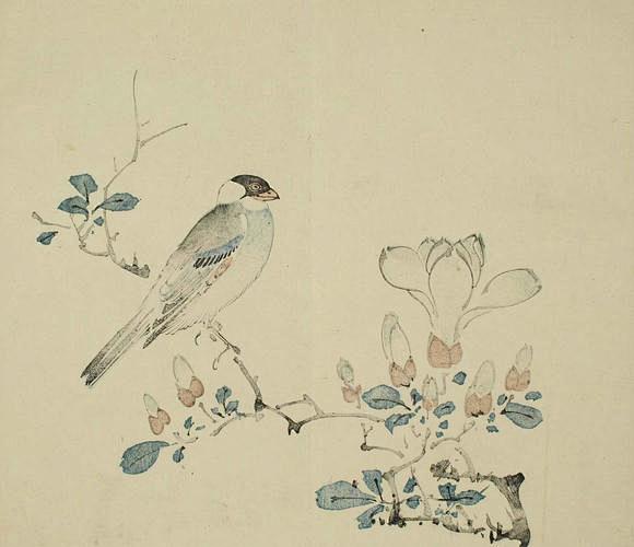 花鸟画图片大全日本