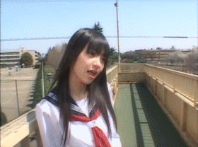 动态