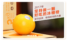 褚橙