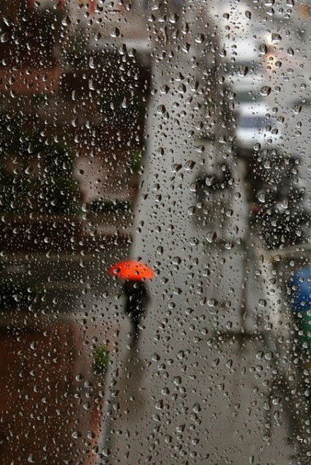 一只瑜呀采集到【爱着你呀,风雨无阻】 #字体# 天灰灰,窗外下着雨.
