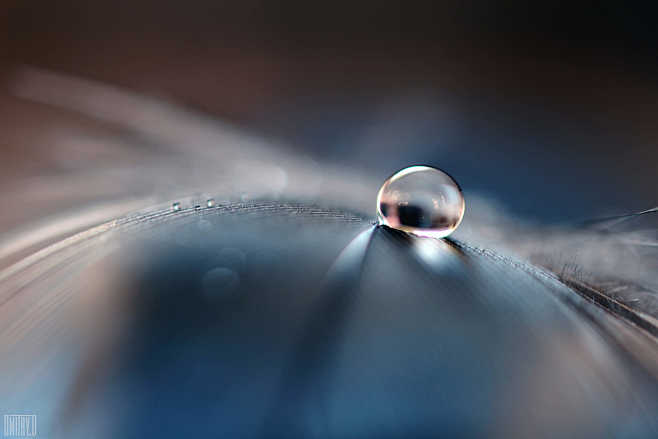 stories of drops by dmitry doronin on 500px