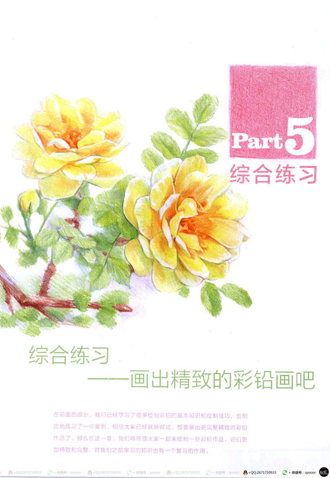 《彩色铅笔基础入门》pdf百度云盘下载!彩铅水