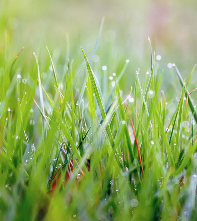 投稿作品:从早晨到晚上