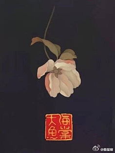 小鱼人采集到海棠花