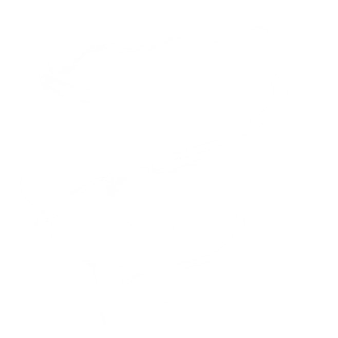 旋风png