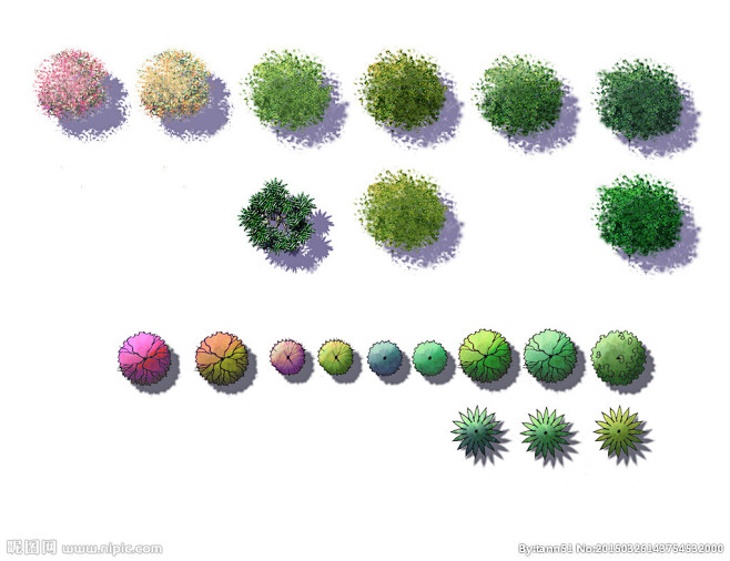 com ps素材-平面树_园林素材_植物素材 1 ddyuanlin.