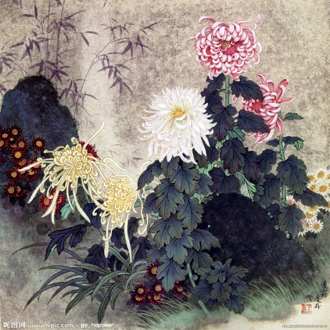 com 菊花工笔画欣赏 - 梅花仙子 - 梅花仙子的香雪园 meihuaxianz.