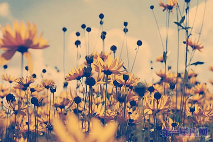 未来身份测试:测测你的未来?