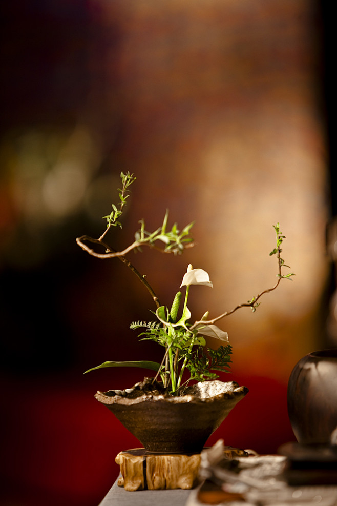 禅背景-花瓣网|陪你做生活的设计师 | 香养生香艾草香