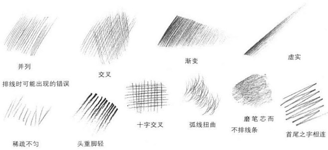手绘-花瓣网|陪你做生活的设计师 | 这素描头像排线绝