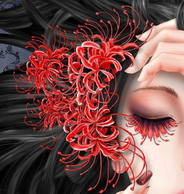 aicdn.com 彼岸花开开彼岸,奈何桥前可奈何?