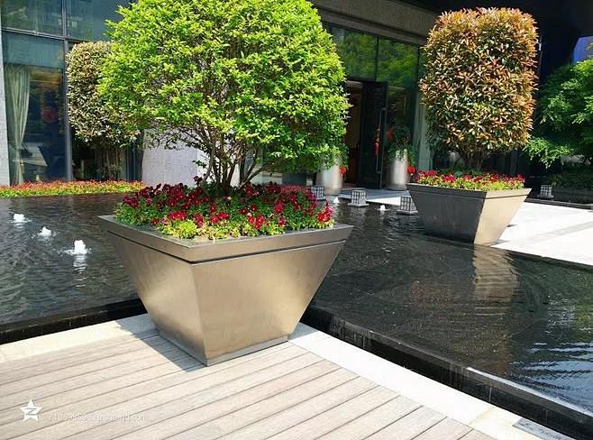 树池1
