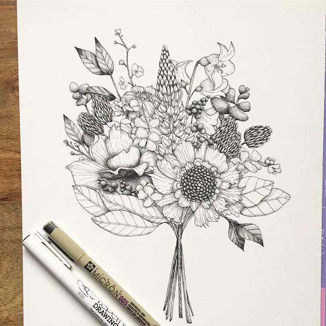 植物线稿-花瓣网|陪你做生活的设计师 | 植物线描画