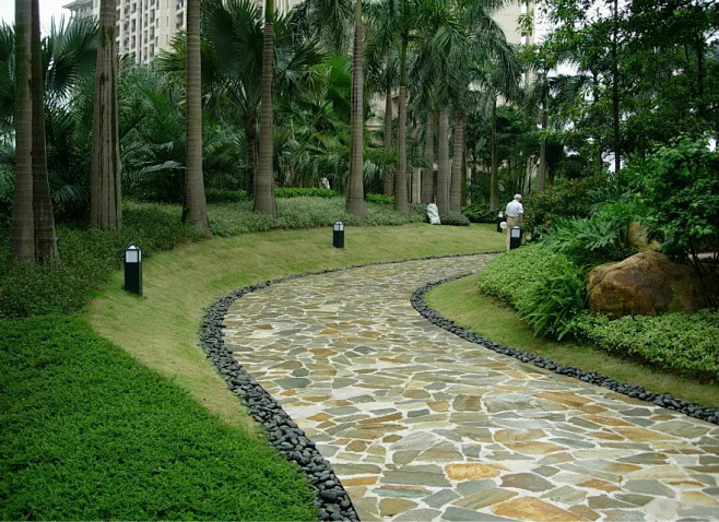 热带景观
