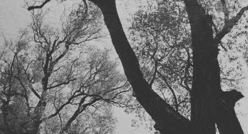 The Myth of Frigg : .