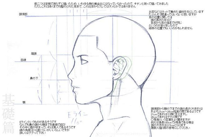 各角度脸型画法(动物)
