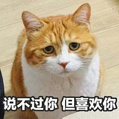 com (5 条消息)有什么适用于和老公/男票撒娇的可爱表情包?