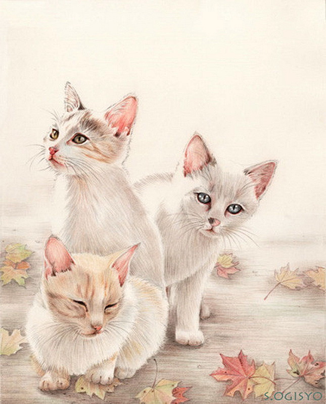 治愈系背景图水彩猫手绘插图动物小清新壁纸