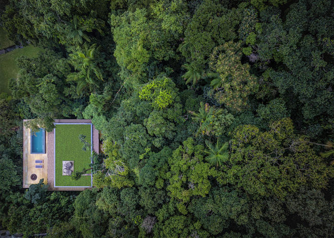 隐现在树冠之中的丛林之家建筑学院