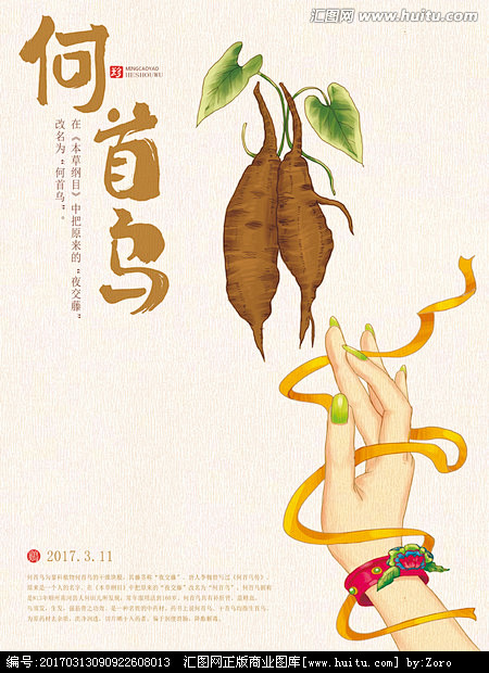 何首乌何首乌插画