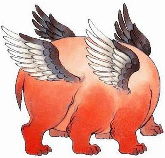 上古四大神兽都和四大凶兽你觉得谁的实力更胜一筹