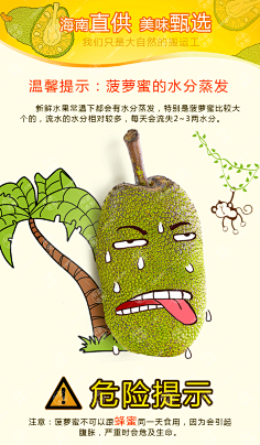 com 【升森水果】海南三亚菠萝蜜14-17斤新鲜水果批发包邮-tmall.