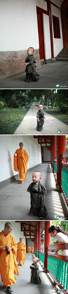 com 25日,有网友晒出一组在福州西禅寺庙拍的"超萌小和尚"写真,结果在