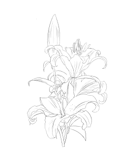 百合花线稿2