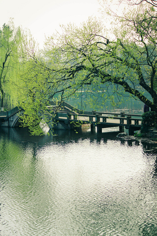 古风场景:梅子黄时雨