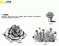 com 手绘配景的画法(草,花,树,水)画法教程步骤图 mianfeiwendang.