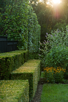 【景观绿篱植物设计图集下载】绿墙模纹花坛/法式园林花园/植物树木